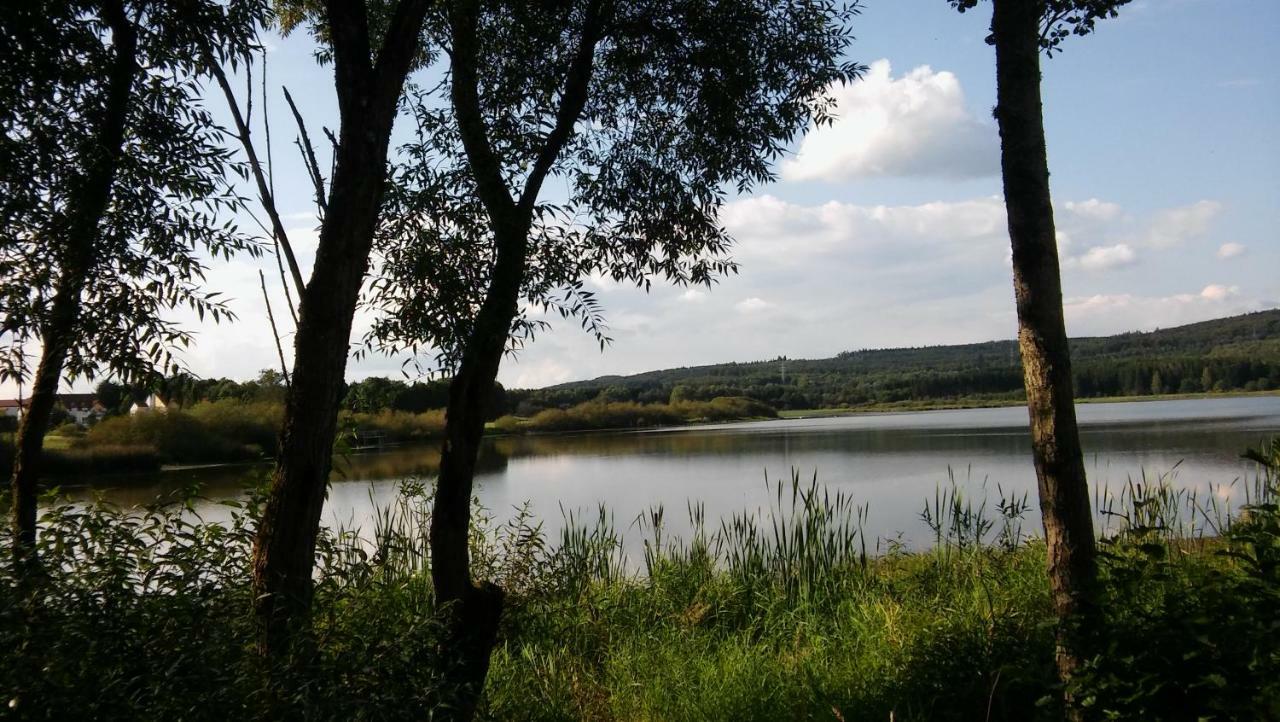 Ferienwohnung In Der Vulkaneifel Ulmen Dış mekan fotoğraf