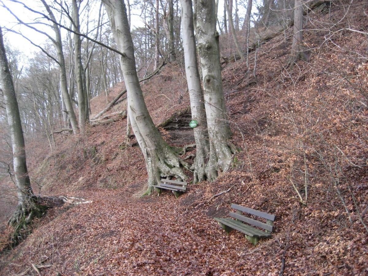 Ferienwohnung In Der Vulkaneifel Ulmen Dış mekan fotoğraf